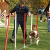 agility 2011-10-30